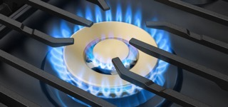 Professional gas burner flame